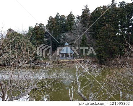 坂田池綜合公園 坂田池綜合公園 121995502