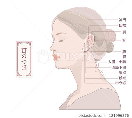 耳壓點位置、耳部按摩、耳內有效壓點 121996276