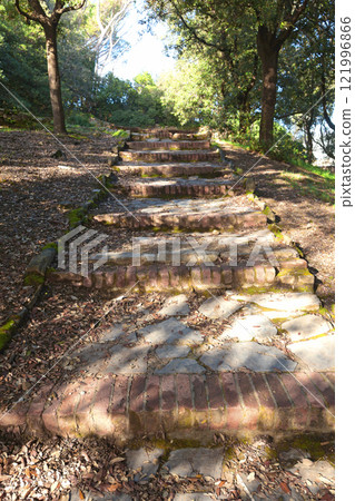 Brick old steps on path up hill amongst trees. Ancient building. Traditional buildings in Italy, Liguria.  121996866