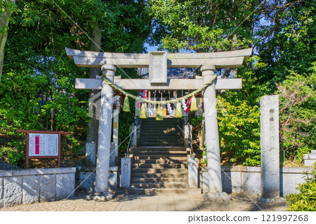 東京都大田區 洗足八幡神社鳥居 紀念源賴朝和名馬池月的傳說的神社 東京都大田區 洗足八幡神社鳥居 紀念源賴朝和名馬池月的傳說的神社 121997268