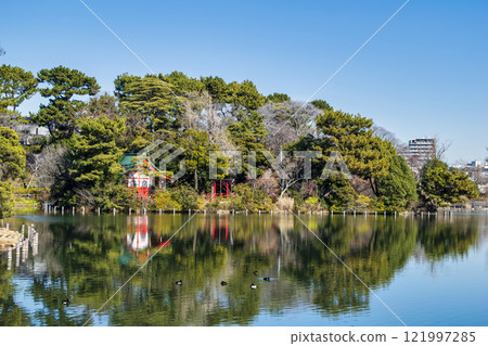東京都大田區洗足池浮島 東京都大田區洗足池浮島 121997285