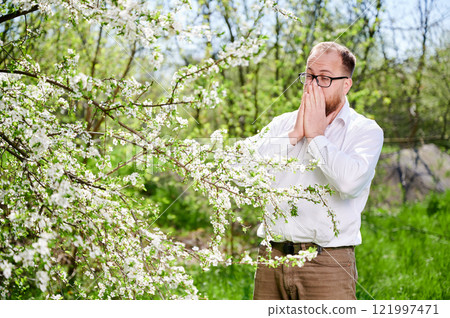 Man allergic suffering from seasonal allergy at spring in blossoming garden at springtime. Bearded man with glasses sneezing, closing nose by hand in front of blooming tree. Spring allergy concept 121997471