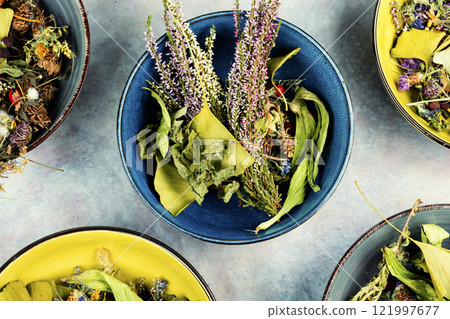Collection of dried herbs, healing practices. Collection of dried herbs, healing practices. 121997677