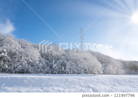 Snow-covered rice fields, mountains and the sun 121997796