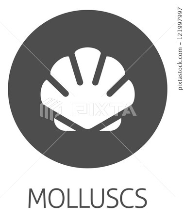 Seashell Shell Clam Mollusc Seafood Food Icon Seashell Shell Clam Mollusc Seafood Food Icon 121997997