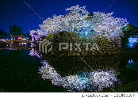 Cherry blossoms reflected in the moat at night [Matsushiro Castle Ruins] 121998107