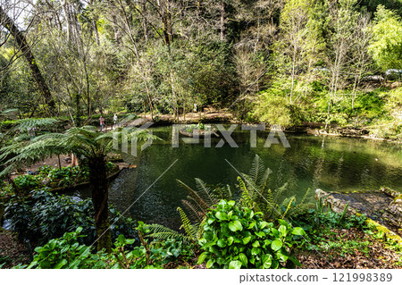 Little Lake, Lago Pequeno in ancient forest of Bussaco National Forest, in Luso, Aveiro in Portugal Little Lake, Lago Pequeno in ancient forest of Bussaco National Forest, in Luso, Aveiro in Portugal 121998389
