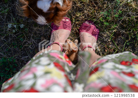 Yellow kitten is hiding between feet on the grass Yellow kitten is hiding between feet on the grass 121998538