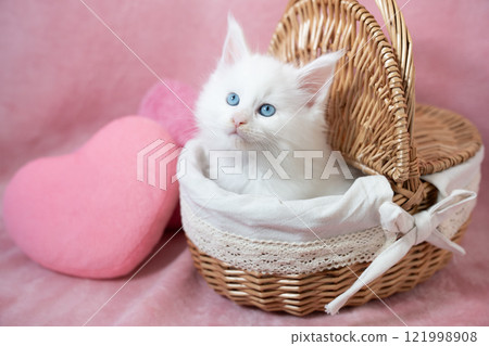 Pink bag and white kitten in a basket 121998908
