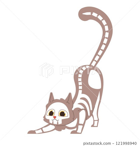 cat, skeleton, vector 121998940
