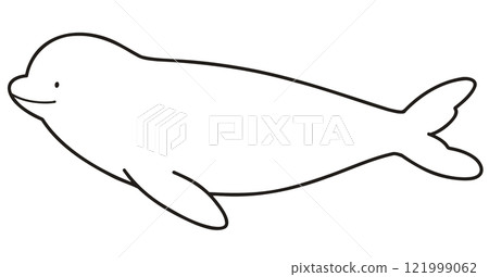 Simple and cute beluga whale illustration - line drawing only Simple and cute beluga whale illustration - line drawing only 121999062