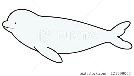 Simple and cute beluga whale illustration with main lines Simple and cute beluga whale illustration with main lines 121999063