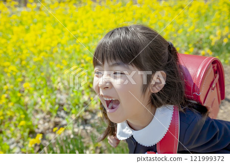 一名一年級學生背著書包走過油菜花盛開的公園 一名一年級學生背著書包走過油菜花盛開的公園 121999372