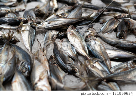 Fresh mackerel fish on ice in market 121999654