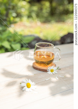 Tea time in the spring sunshine 122000373