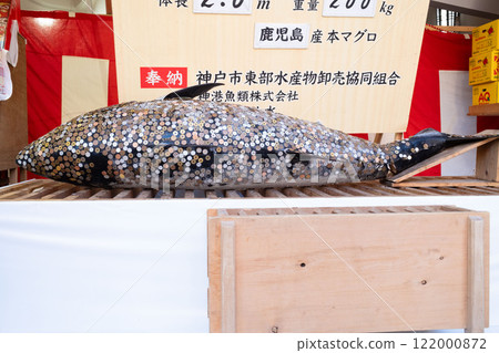 幸運大鮪魚 122000872