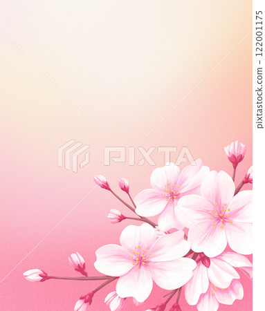 Cherry blossom illustration on gradient background - elegant spring atmosphere 122001175