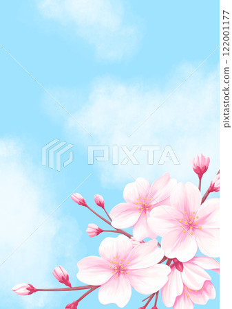 Blue sky and cherry blossom background illustration - refreshing spring design 122001177