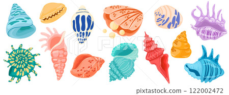 2591_seashell_setnew 2591_seashell_setnew 122002472