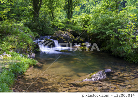 A refreshing stream surrounded by fresh greenery 122003014