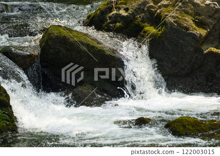 A refreshing stream surrounded by fresh greenery 122003015