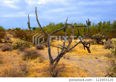 Clouds Over Central Sonora Desert Arizona Clouds Over Central Sonora Desert Arizona 122003120