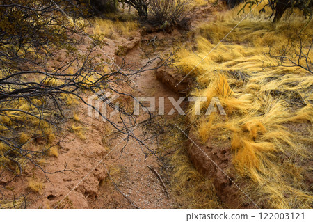 Arizona Desert Arroyo Arizona Desert Arroyo 122003121