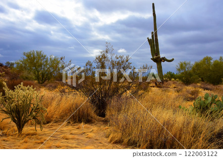 Clouds Over Central Sonora Desert Arizona 122003122