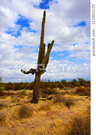 Clouds Over Central Sonora Desert Arizona 122003123