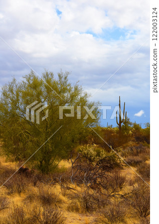 Clouds Over Central Sonora Desert Arizona 122003124