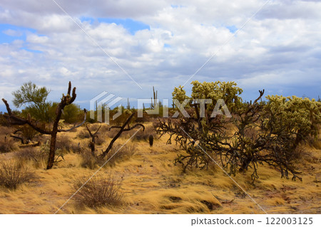 Clouds Over Central Sonora Desert Arizona 122003125