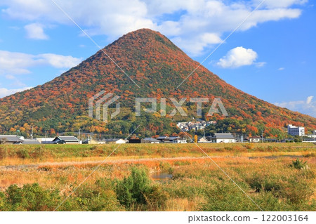 [Kagawa Prefecture] Autumn leaves of Sanuki Fuji (Mt. Iino) 122003164