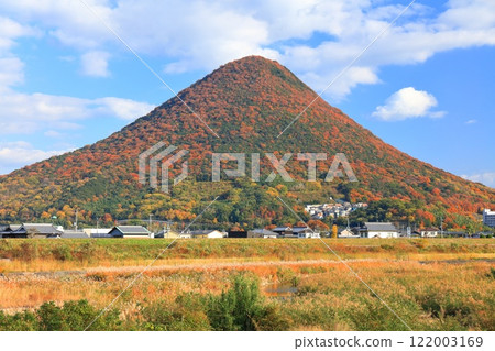 [香川縣]紅葉贊岐富士（飯野山） 122003169