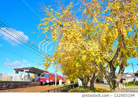 [Aichi Prefecture] Yellow leaves of ginkgo trees and Meitetsu train in Sobue-cho, Inazawa City in autumn 122003194