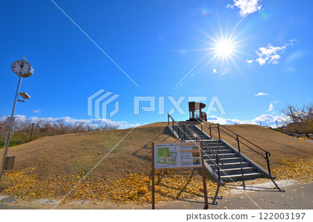 <Aichi Prefecture> Autumn at Ginnan Park in Sobuecho, Inazawa City 122003197