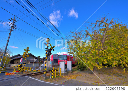 [愛知縣] 秋天的稻澤市總武江町，泛黃的銀杏葉和名鐵列車 122003198