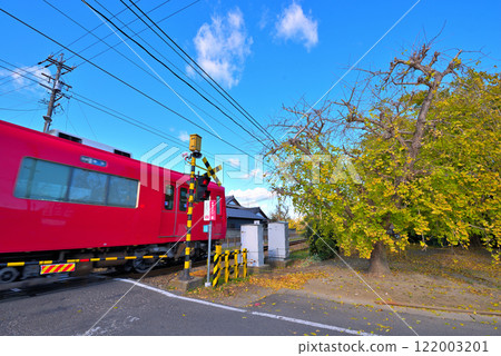 [Aichi Prefecture] Yellow leaves of ginkgo trees and Meitetsu train in Sobue-cho, Inazawa City in autumn 122003201