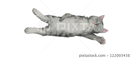 Cute cat watercolor isolated on white background. Kitty sleep and lying down drawing vector illustration 122003438