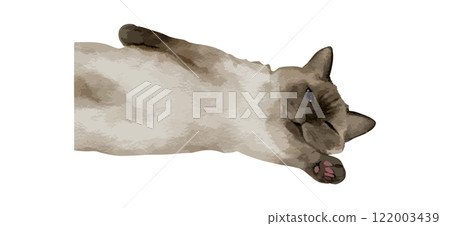 Cute cat watercolor isolated on white background. Kitty sleep and lying down drawing vector illustration 122003439