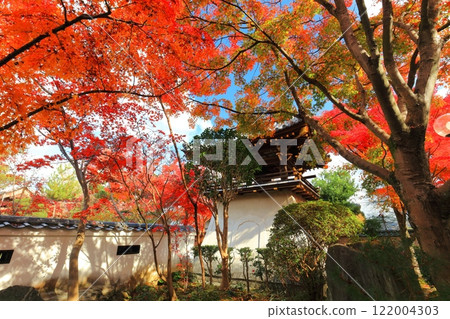 [愛媛郡] 慈源寺的紅葉 122004303