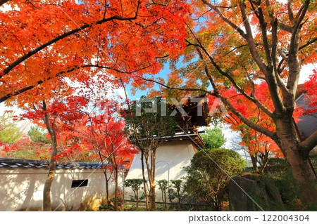 [愛媛郡] 慈源寺的紅葉 122004304