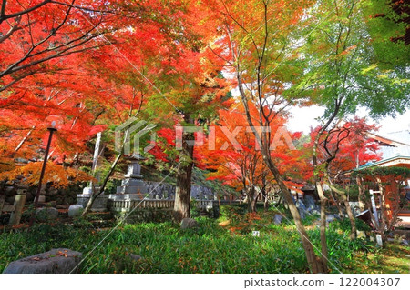 [愛媛郡] 慈源寺的紅葉 122004307