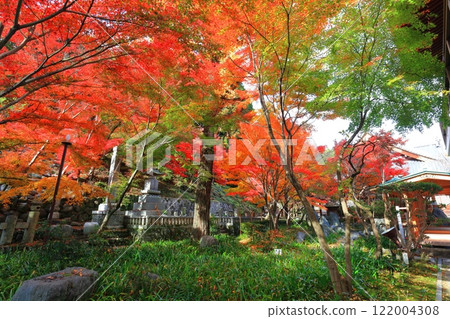 [愛媛郡] 慈源寺的紅葉 122004308