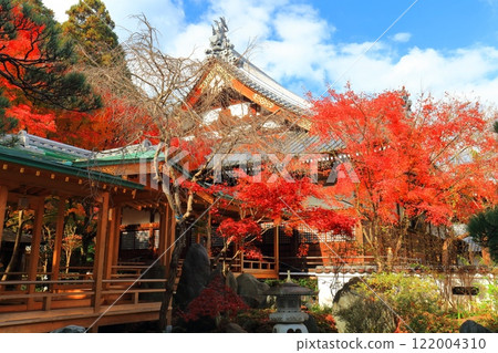 [愛媛郡] 慈源寺的紅葉 122004310