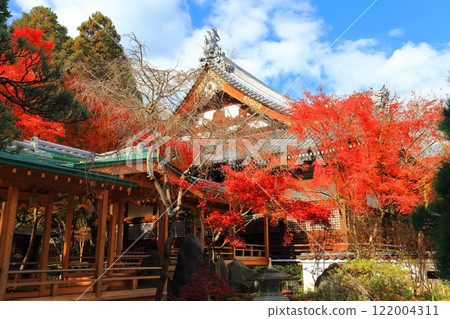 [愛媛郡] 慈源寺的紅葉 122004311