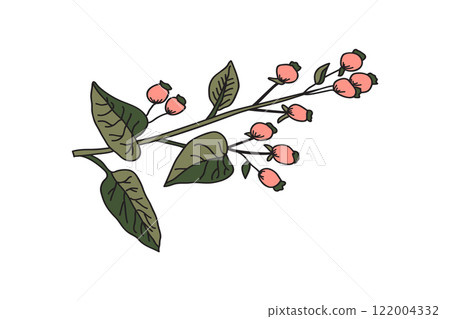 Botanical branch with leaves and berries isolated on white background. Tree plant in green pink pastel colors vector illustration. Graphic design for Print Brand Book Greeting Card Product Print Botanical branch with leaves and berries isolated on white background. Tree plant in green pink pastel colors vector illustration. Graphic design for Print Brand Book Greeting Card Product Print 122004332