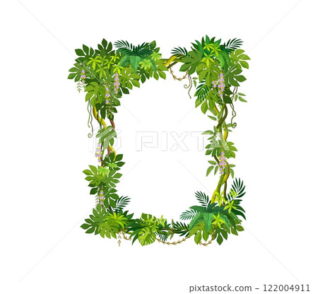 Jungle tropical forest liana frame with green leaves and ivy plant, vector border. Rainforest liana branches and leaves square frame of ivy vine or tropical creeping jungle tree and monstera leaves Jungle tropical forest liana frame with green leaves and ivy plant, vector border. Rainforest liana branches and leaves square frame of ivy vine or tropical creeping jungle tree and monstera leaves 122004911