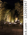 The bamboo forest and stairs of Nagato Yumoto illuminated at night 122005947