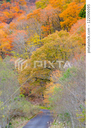 Road through the autumnal forest Road through the autumnal forest 122006095
