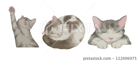 Set of three watercolor gray tabby cats in playful and relaxed poses isolated on white background. Vector illustration Set of three watercolor gray tabby cats in playful and relaxed poses isolated on white background. Vector illustration 122006975